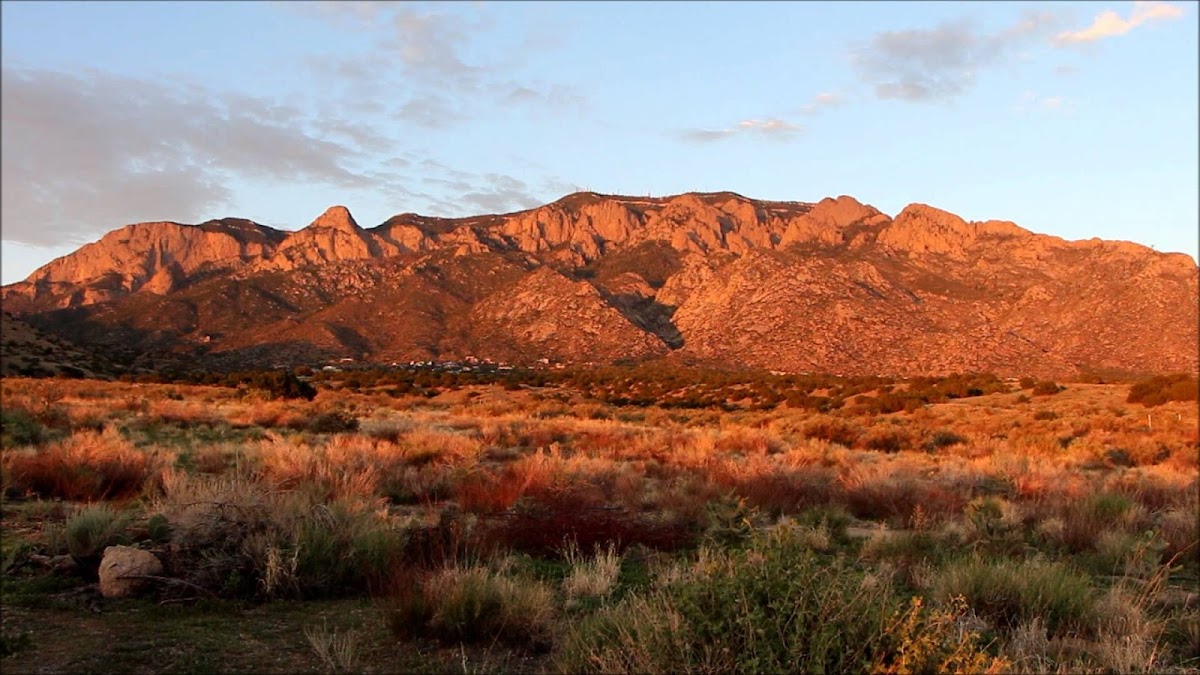 Robert C Urquhart DDS - Desert Mountain Oral Surgery photo 1