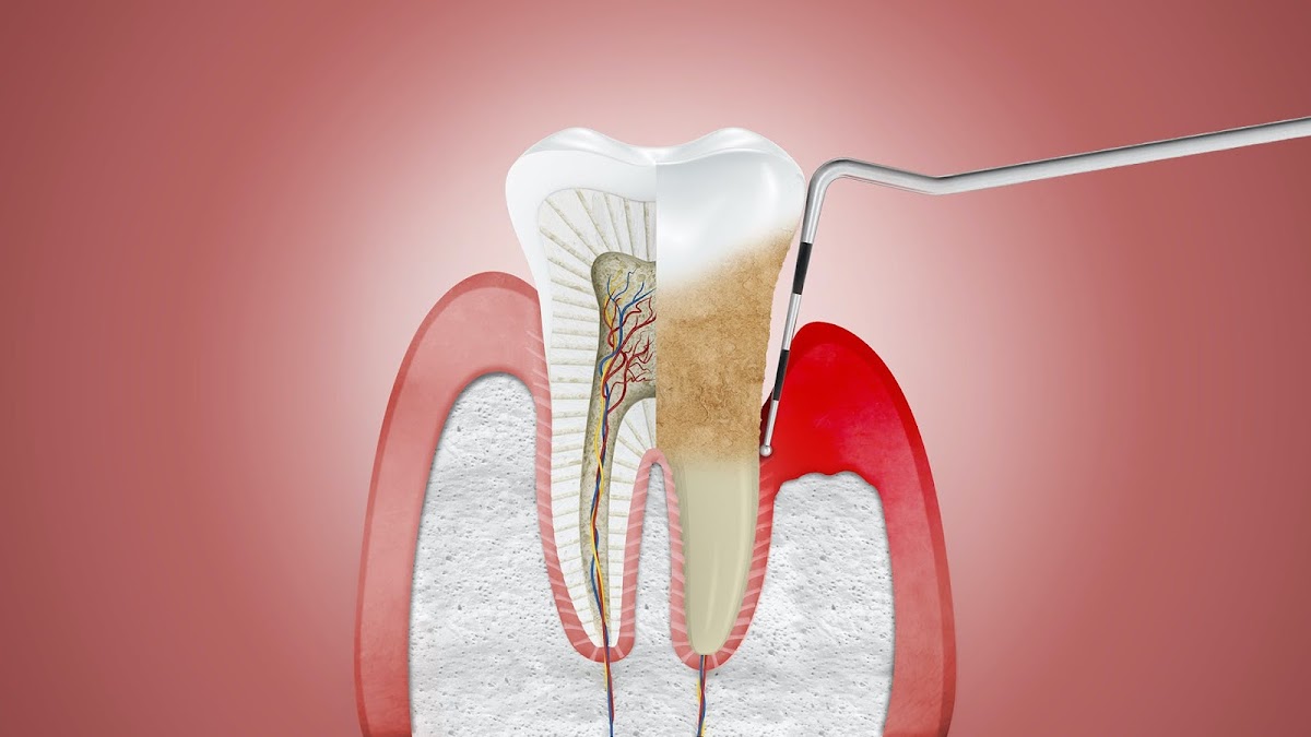 Rockland Dental Specialists photo 4