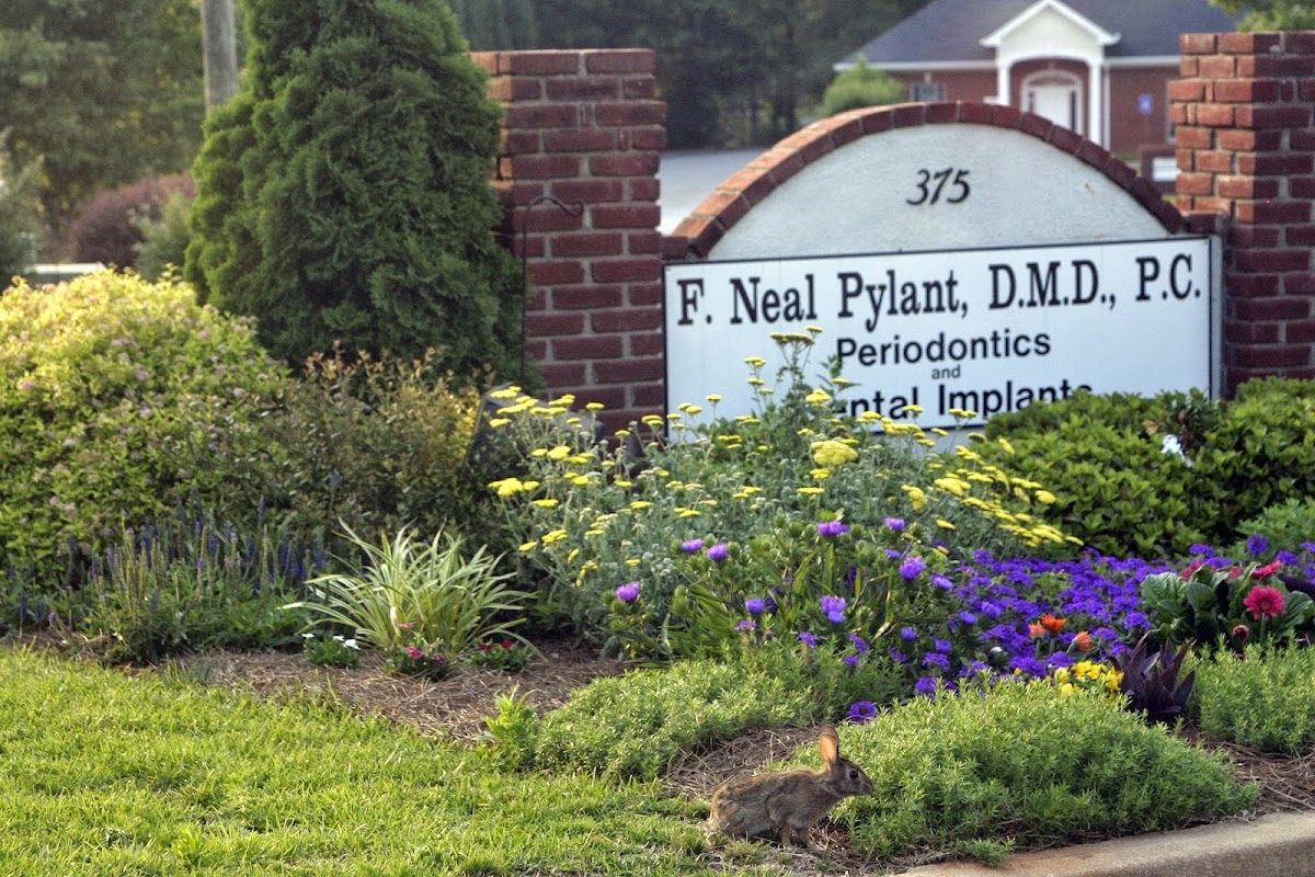 F. Neal Pylant DMD, PC photo 5