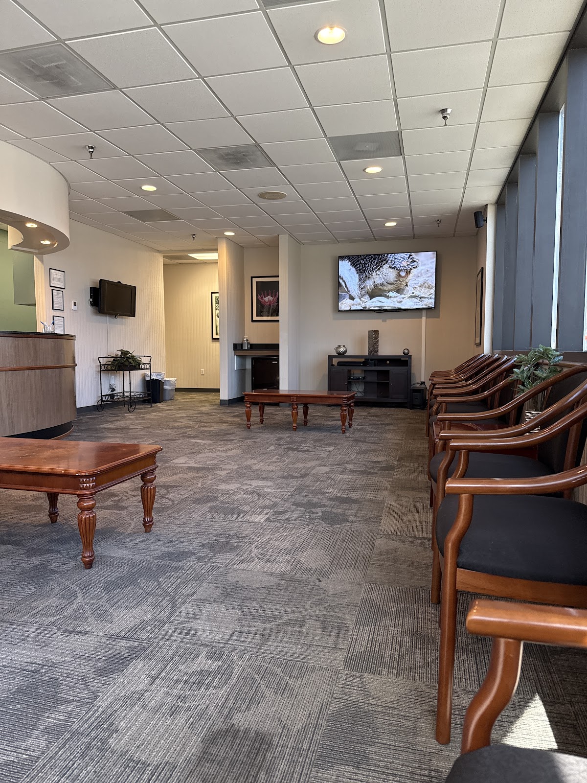 Central Florida Oral & Maxillofacial Surgery P.A. photo 2