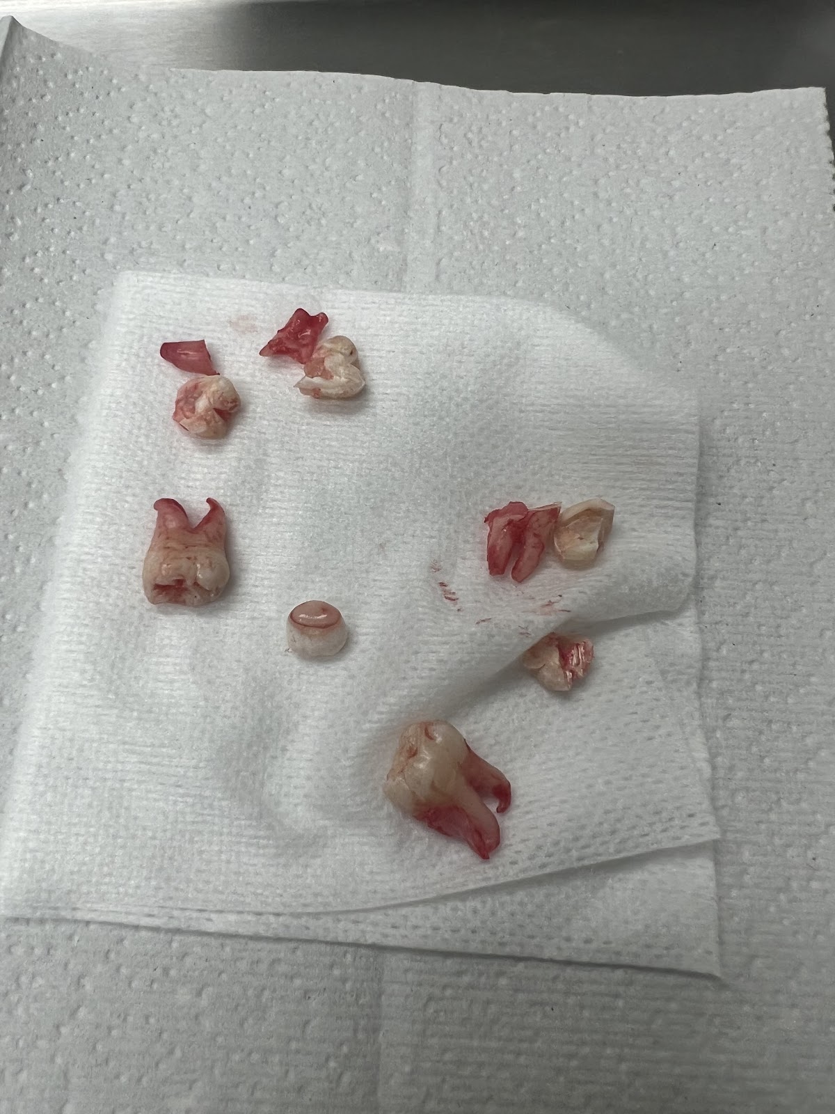 Central Florida Oral & Maxillofacial Surgery P.A. photo 3