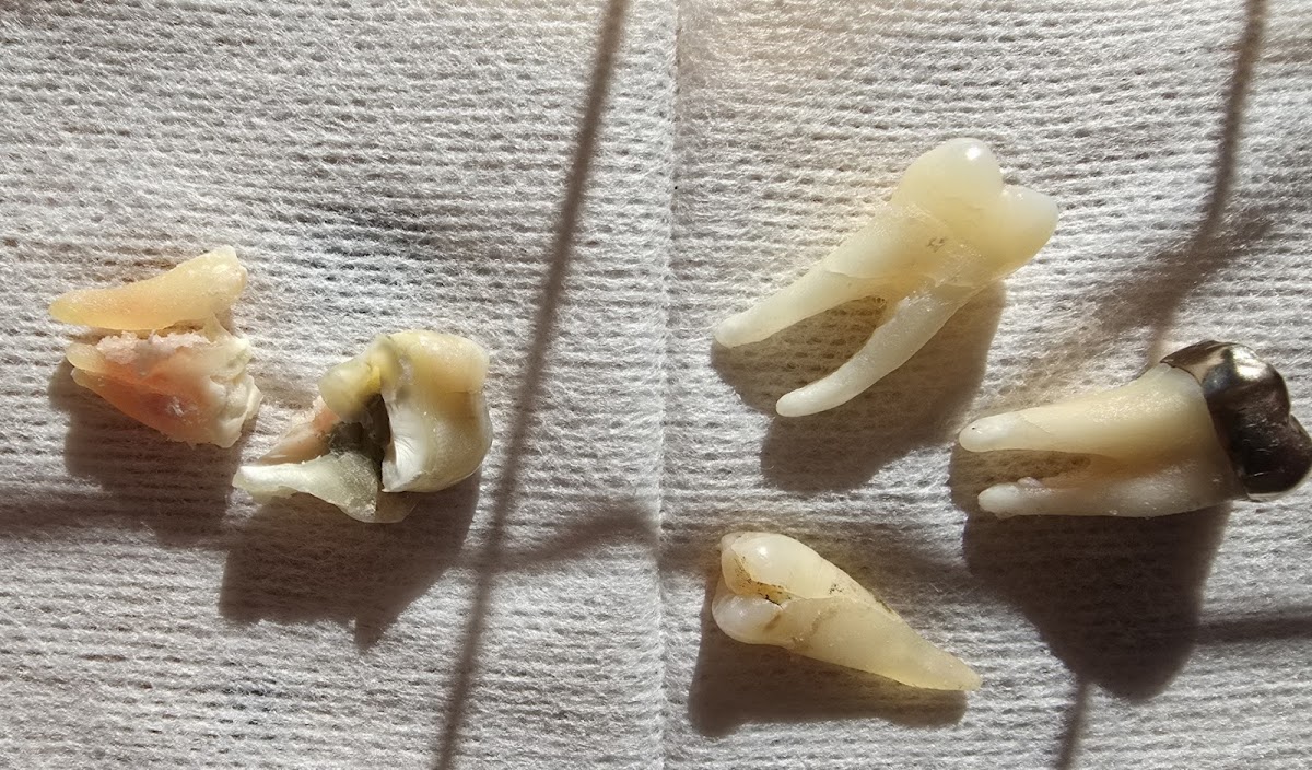 Rowan Oral & Maxillofacial Surgery photo 3