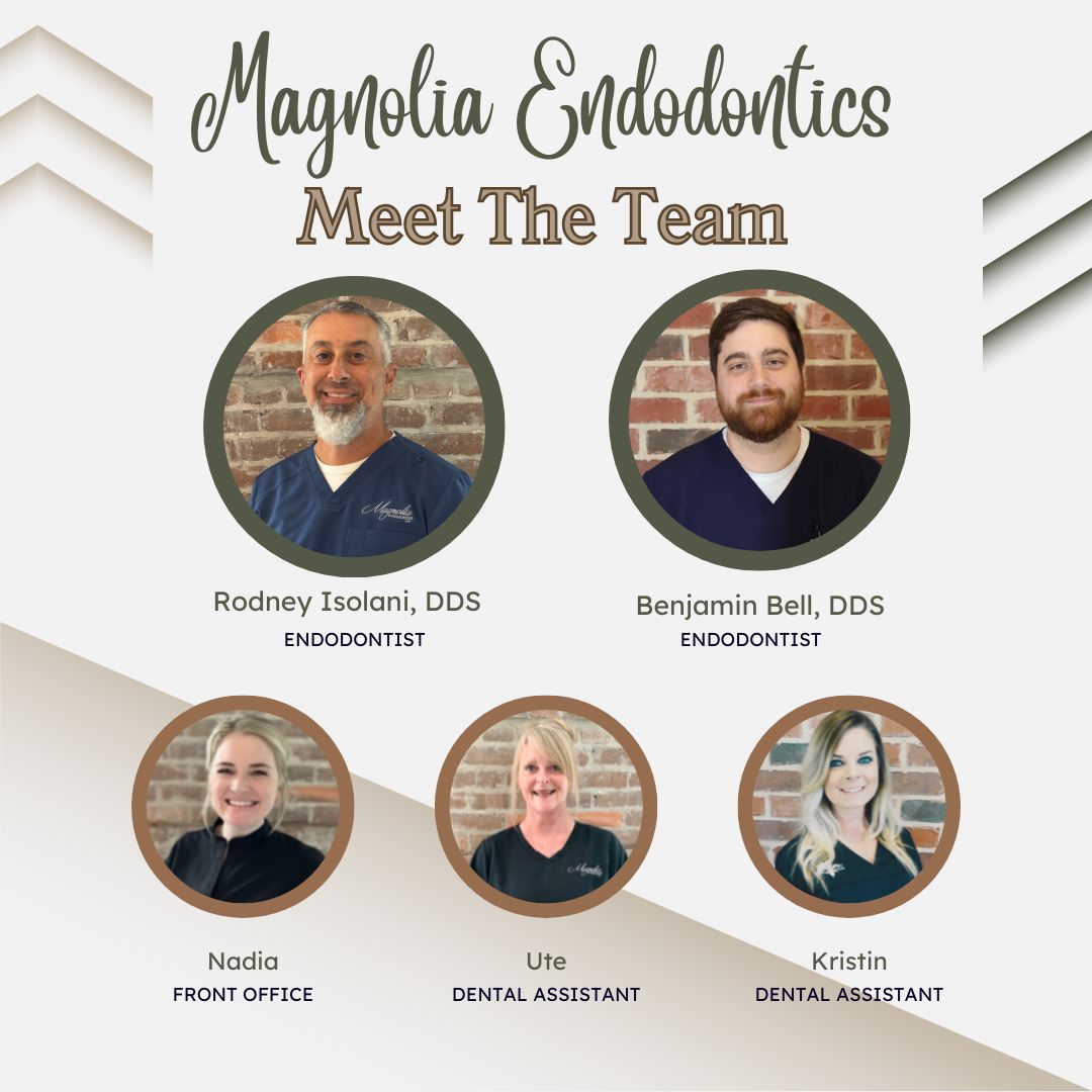 Magnolia Endodontics photo 4