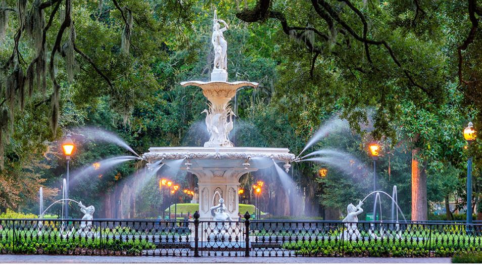 Forsyth Park Dental - Savannah photo 1