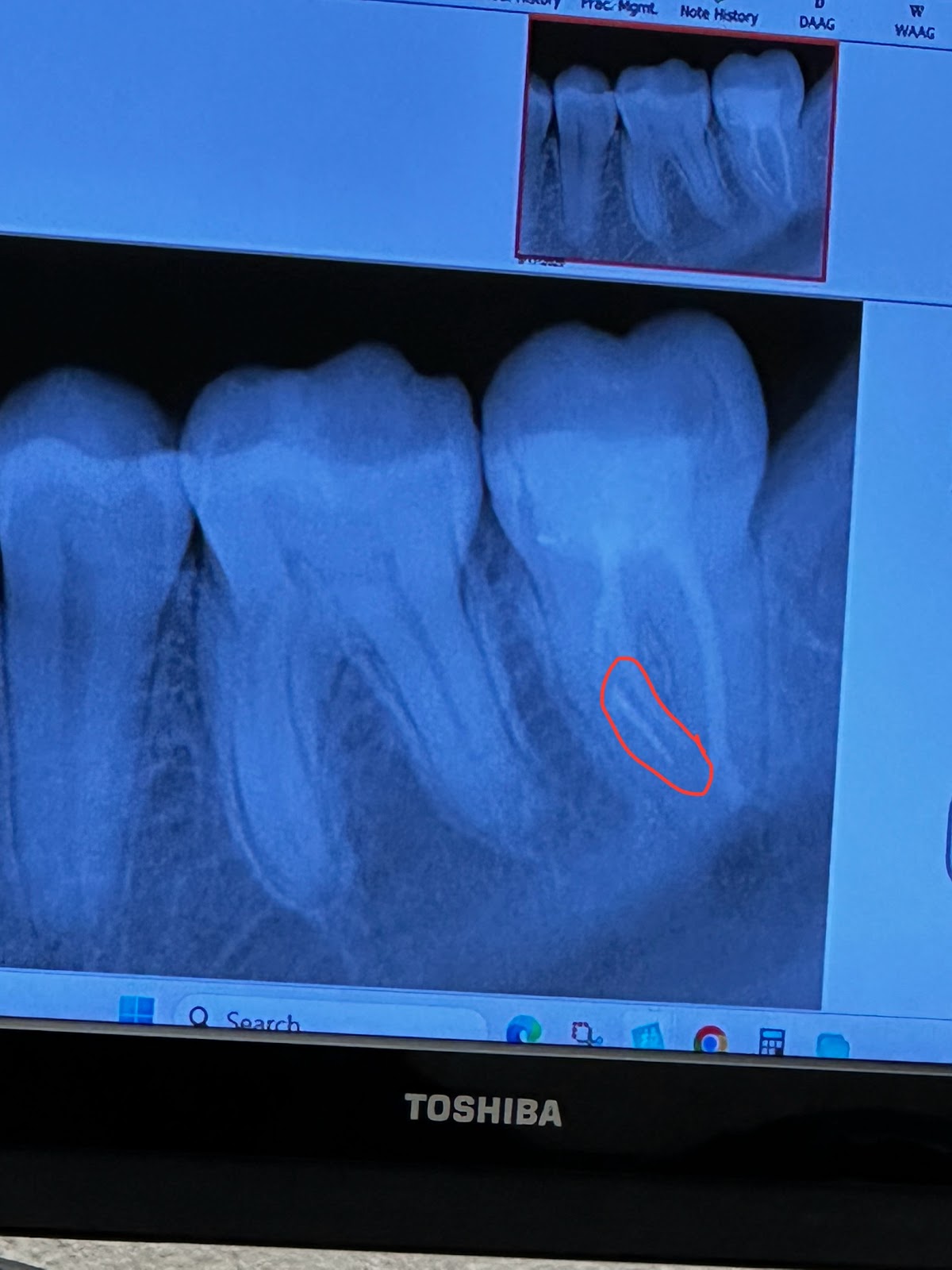 Crystal Dental Care / Maa Crystal Dental photo 6
