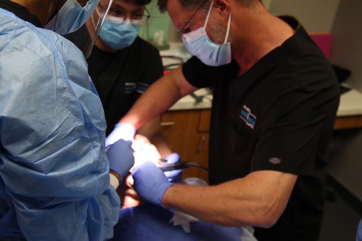 Nevada Oral & Facial Surgery - Summerlin, Nv photo 1