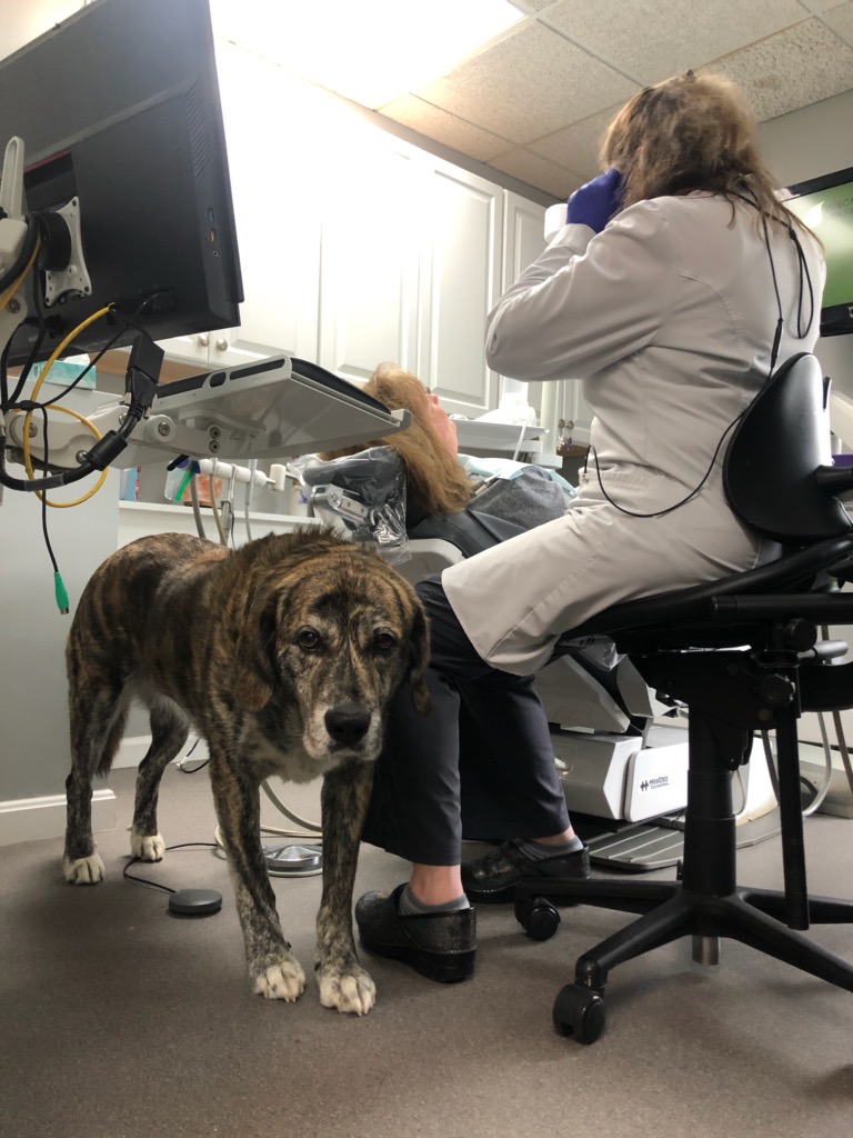 Duboff Dentistry photo 5