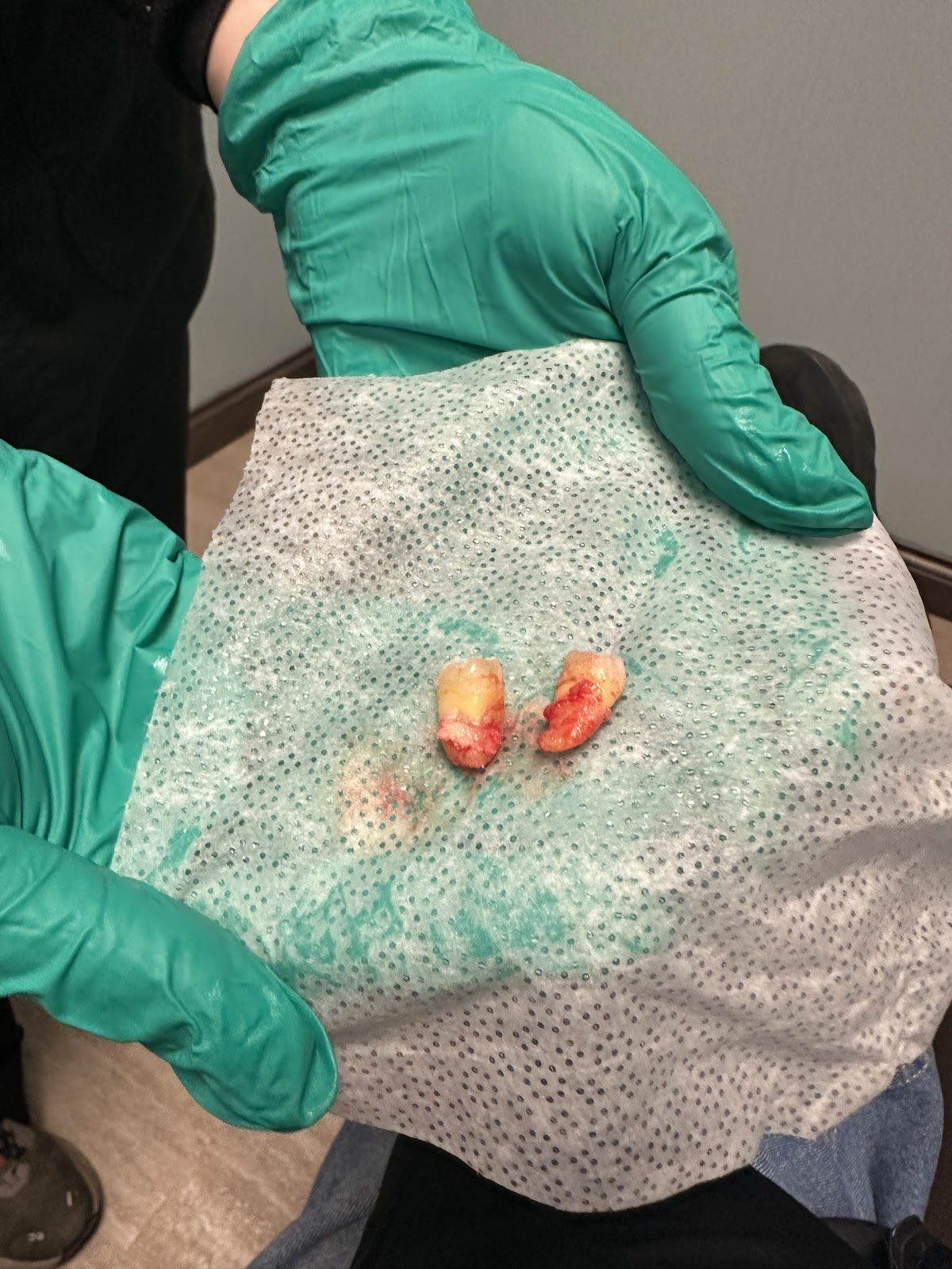 Independence Dental Care photo 4