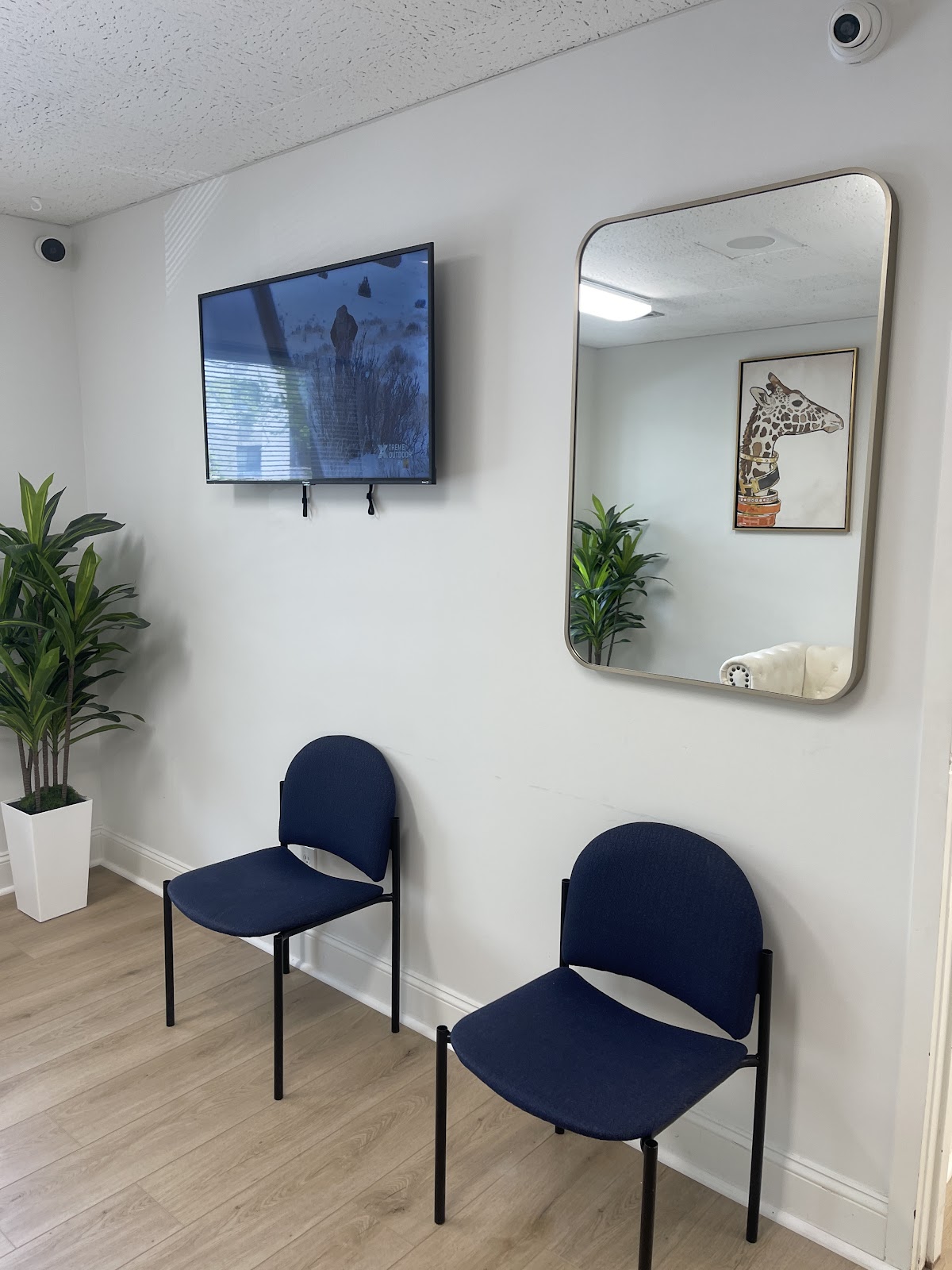 Gd Dentistry Stamford photo 6