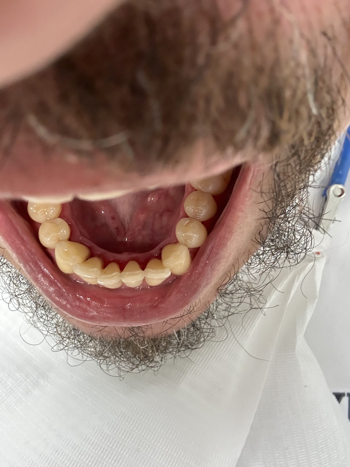 Island Dental photo 5