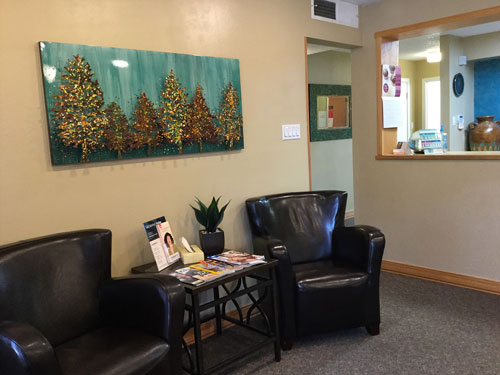 Precision Dental Care: Craig T Steichen, DDS photo 3