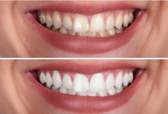 Zarikta Dental photo 4