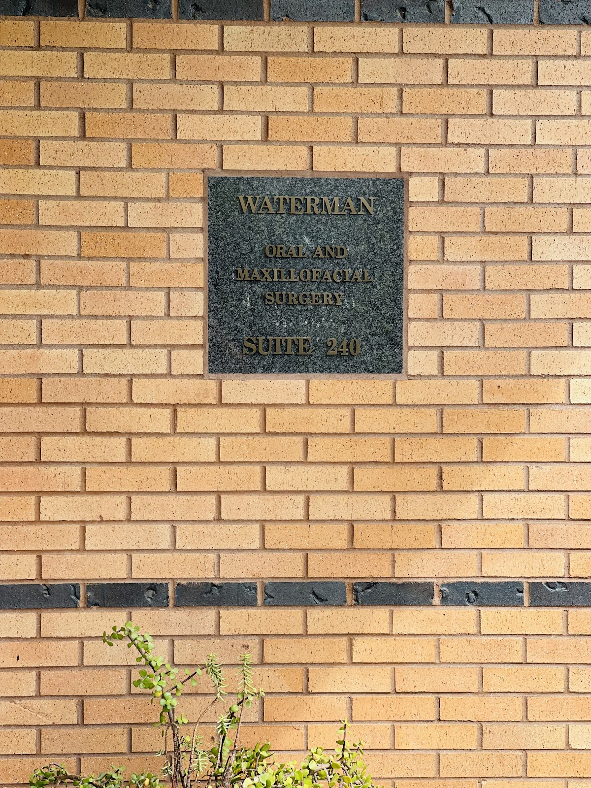 Waterman Oral & Maxillofacial Surgery photo 5