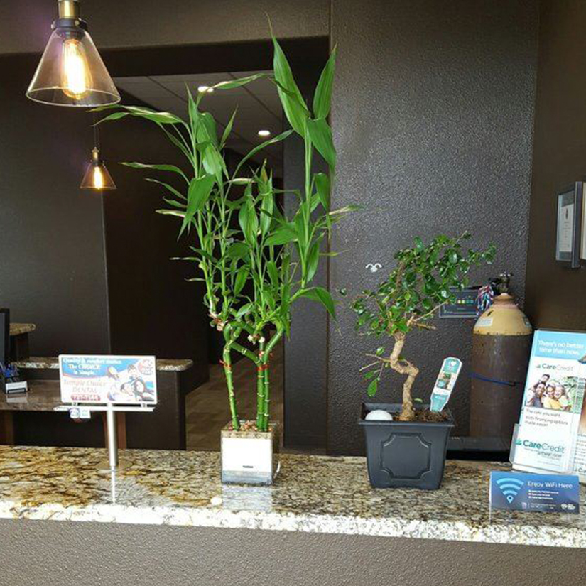 Temple Choice Dental photo 4