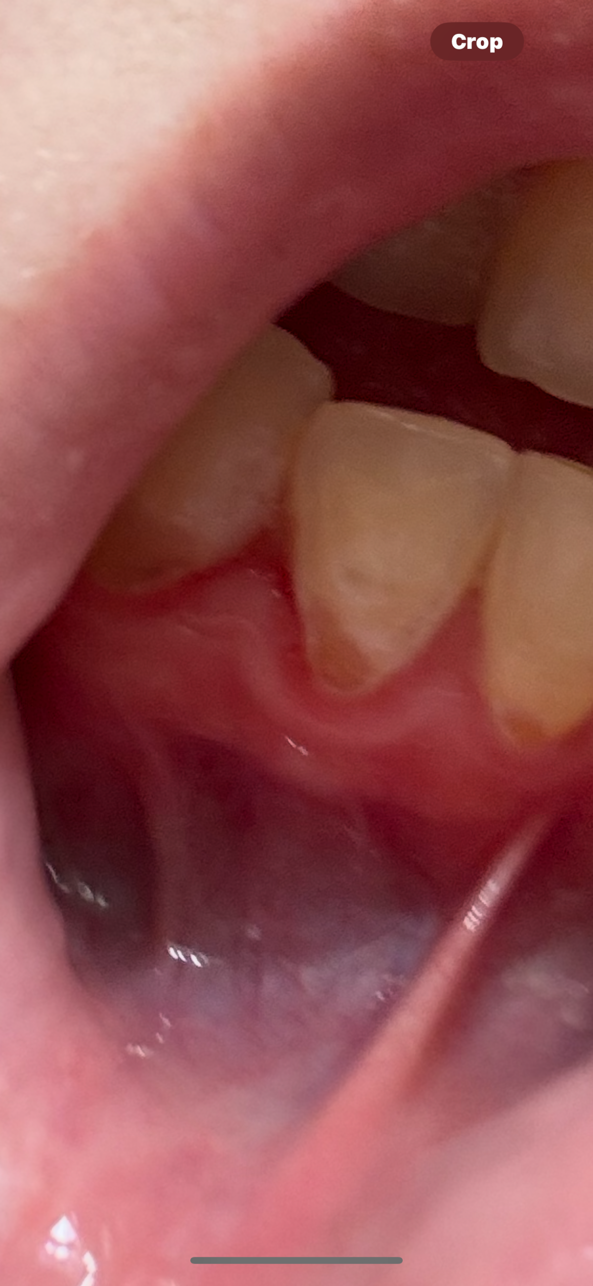 Patriot Family Dental photo 6