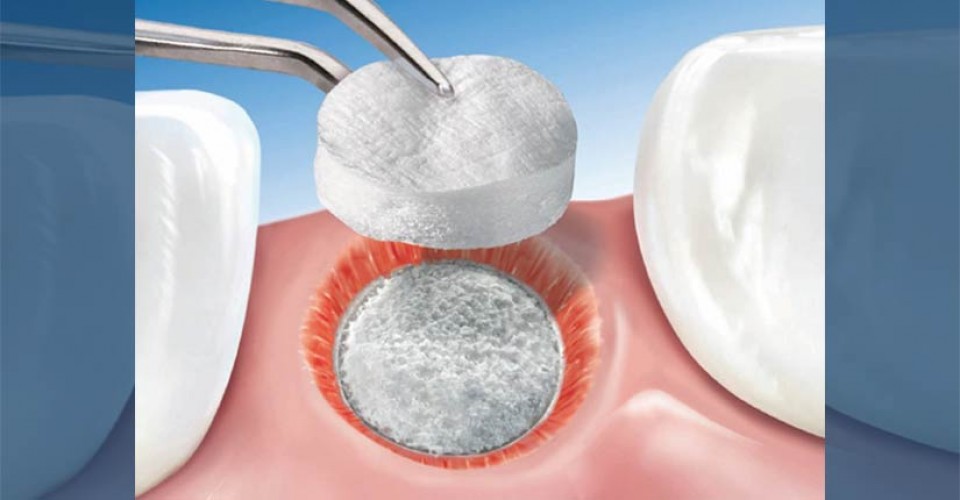 Dental Surgeons of Dartmouth photo 3