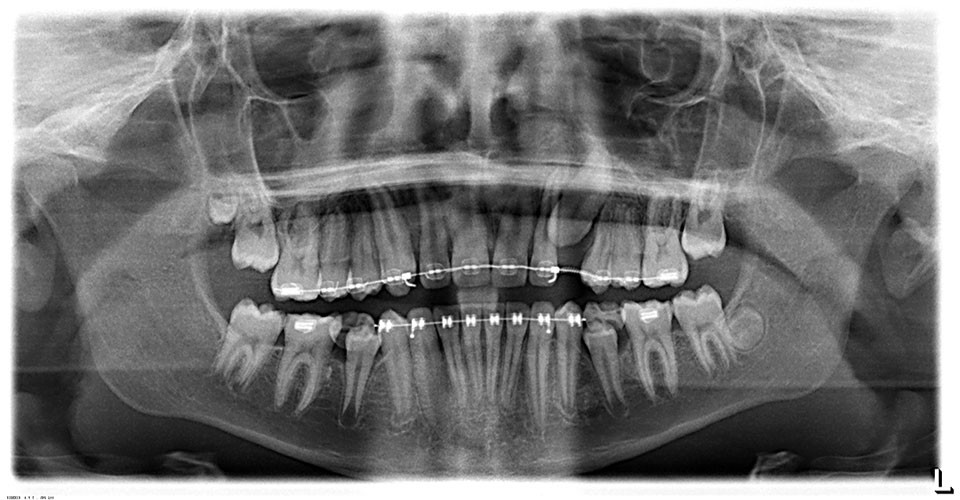 Dental Surgeons of Dartmouth photo 4