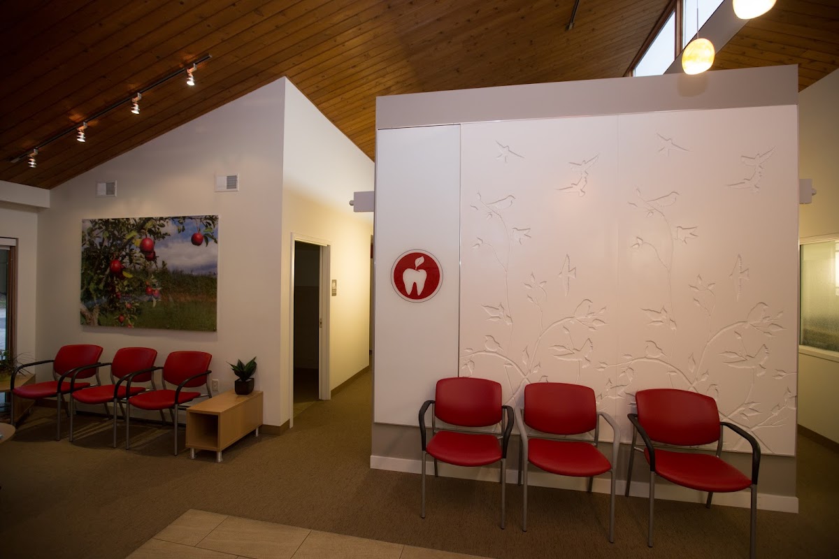 Apple Tree Dental Rochester photo 4