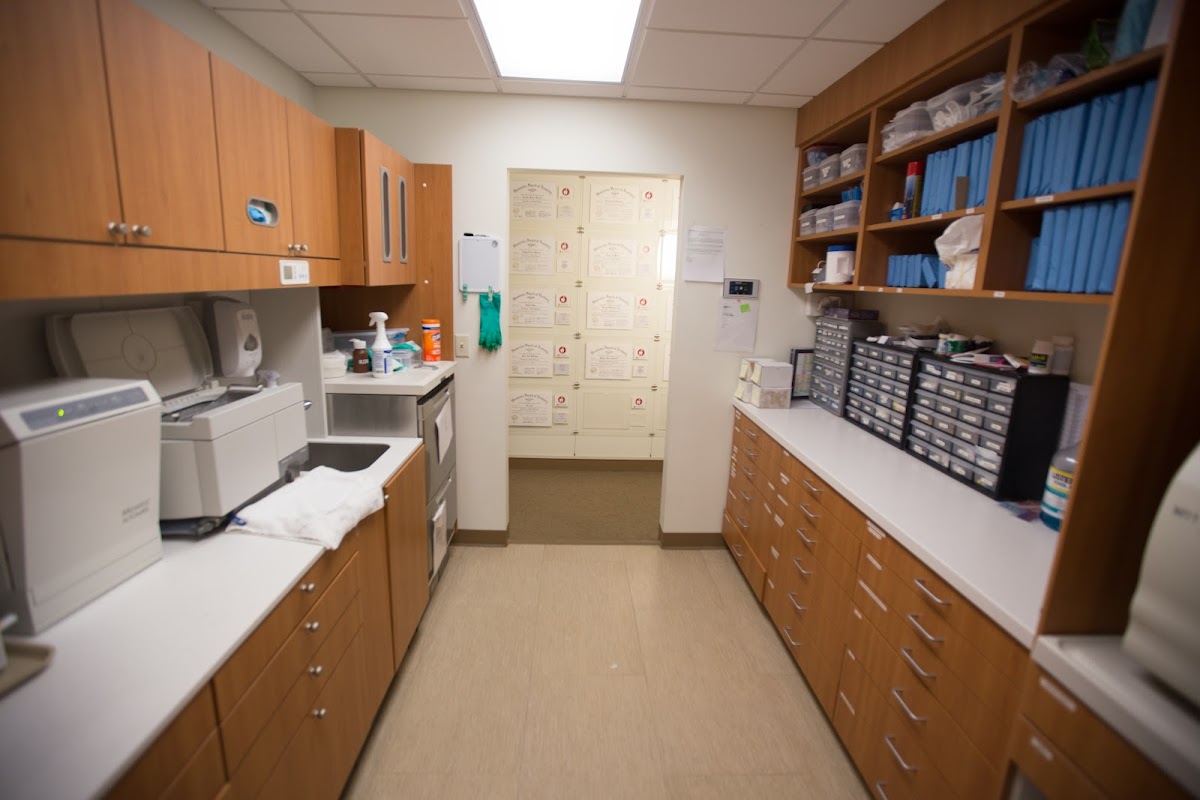 Apple Tree Dental Rochester photo 6