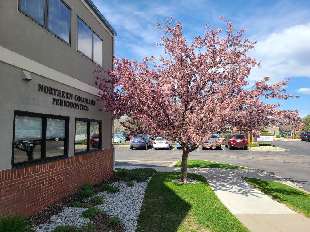 Northern Colorado Periodontics photo 3