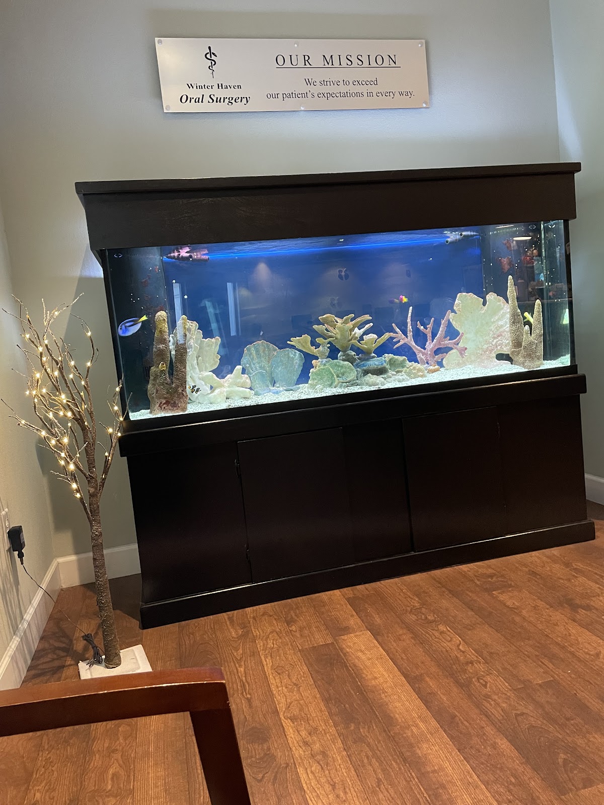 Winter Haven Oral Surgery photo 5