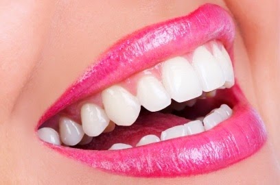 Dr. Brian T. Van Aelst Periodontal Associates photo 4