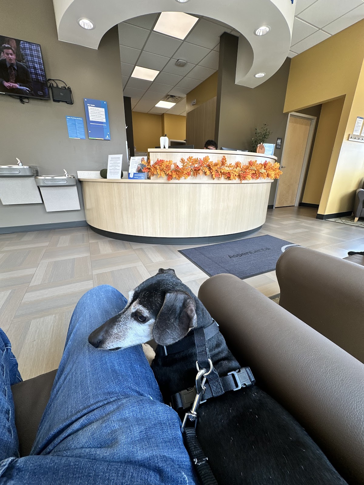 Aspen Dental - Colorado Springs photo 5