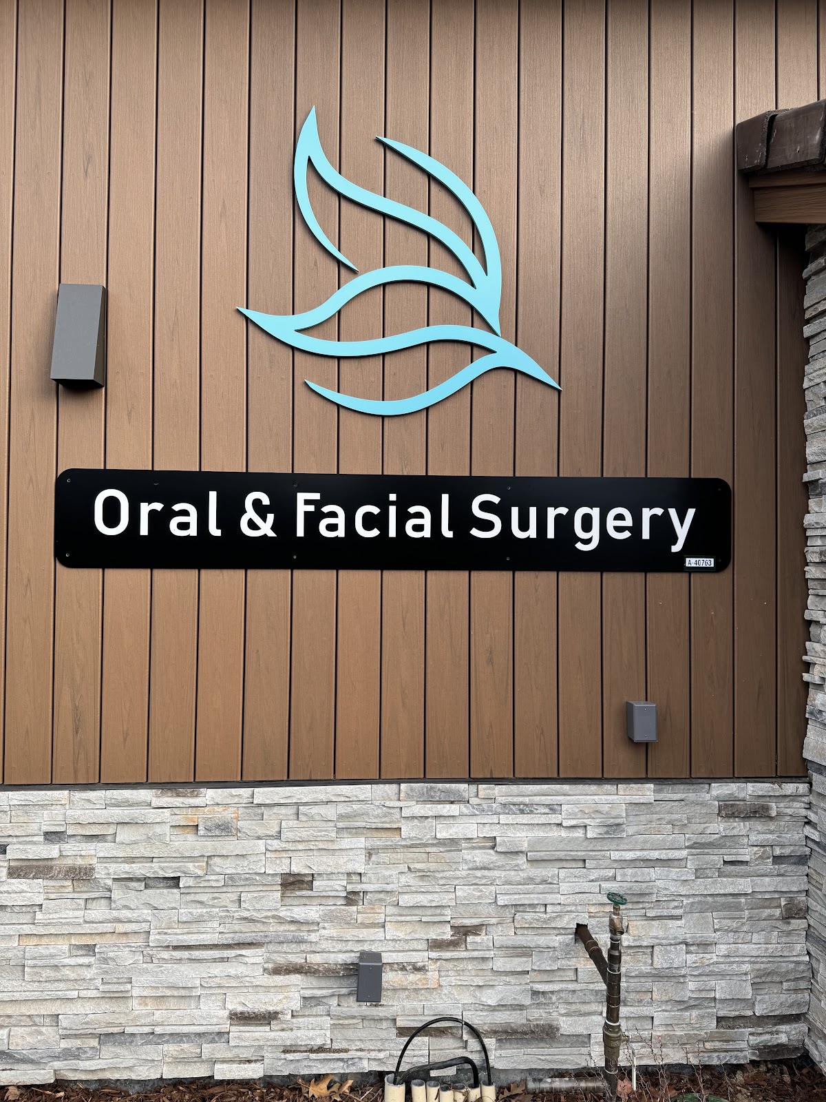 Sheng Ji, Dds, Md Oral & Maxillofacial Surgery photo 5