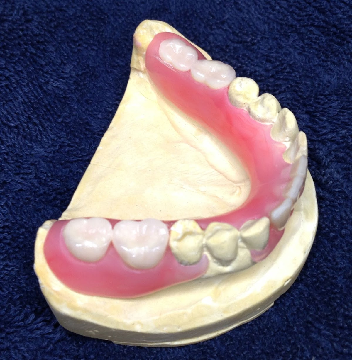 Horizon Dental Lab photo 3