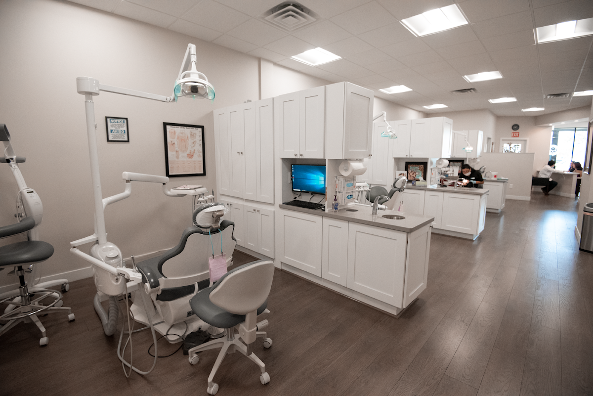 Desert Dentist photo 2