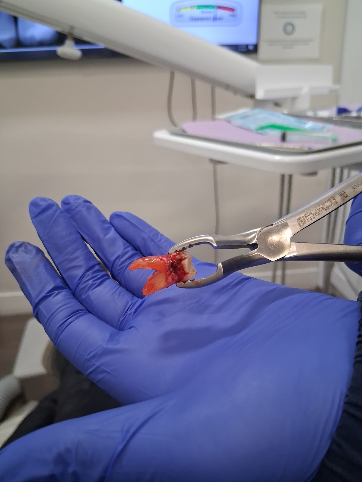 Desert Dentist photo 6