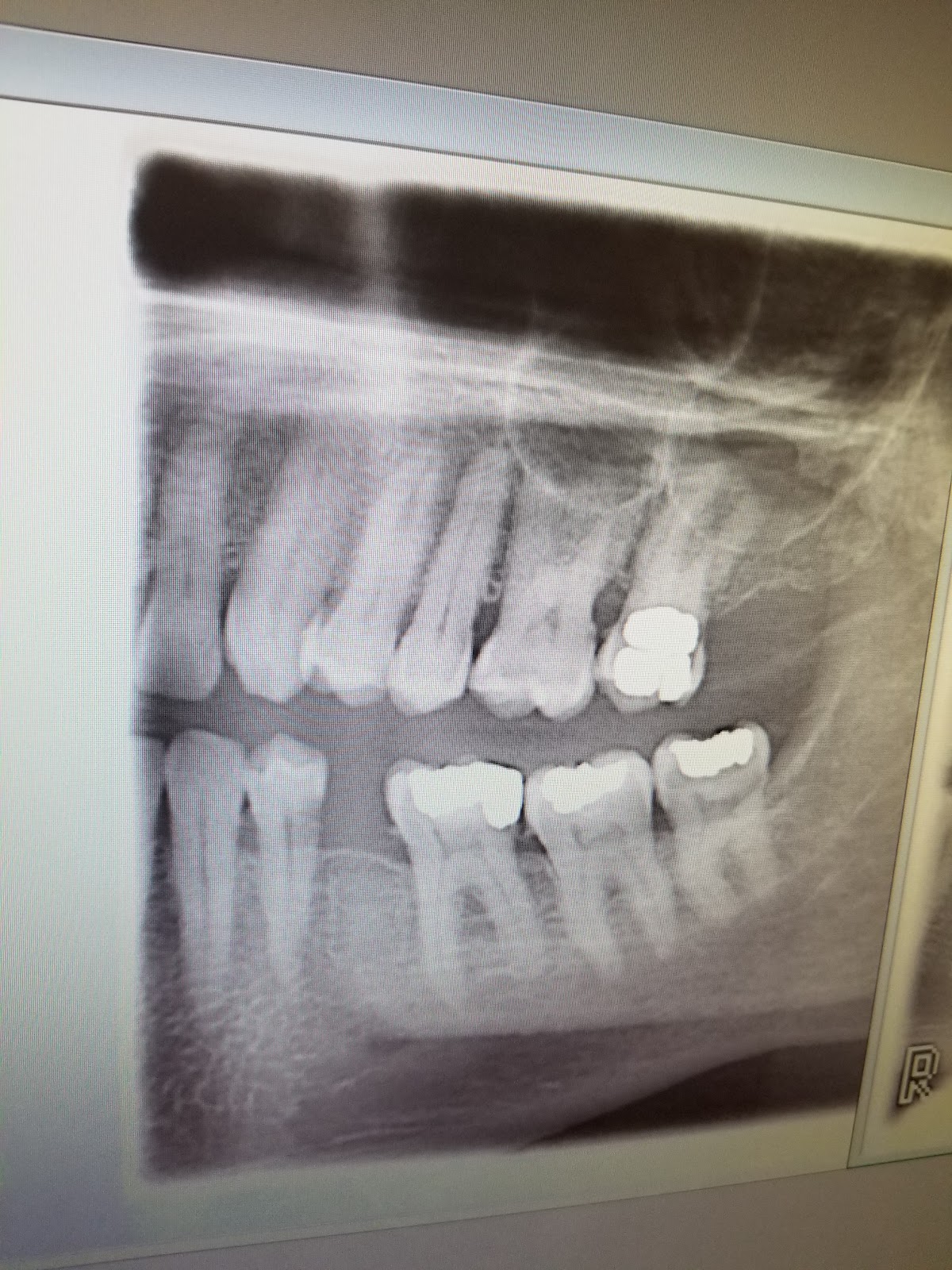 Leo A. Tokarczyk DDS photo 6