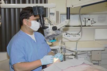 Dr. James S. Kim, DDS photo 2