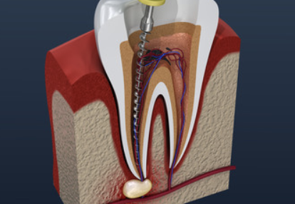 Eleisha J. Nickoles, DDS photo 4