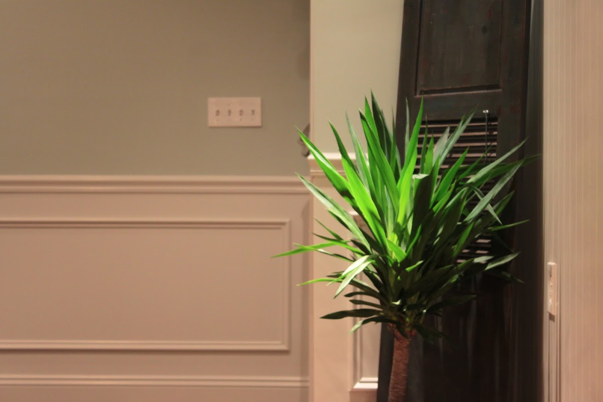 Avalon Dental of Christiana photo 6