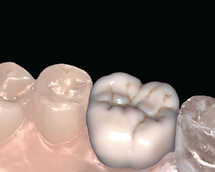Evolution Dental Science, LLC photo 3