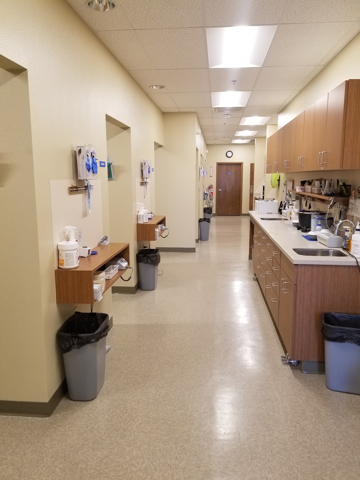 Affordable Dentures & Implants - Pueblo photo 4