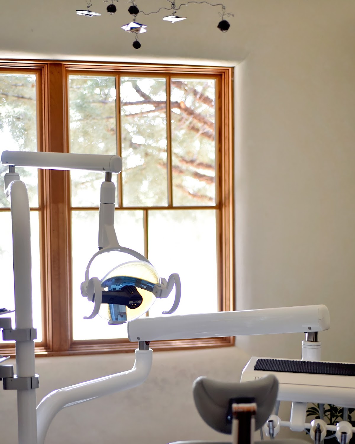 Dental Arts of Santa Fe photo 4