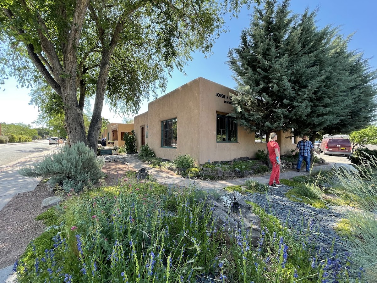Dental Arts of Santa Fe photo 6