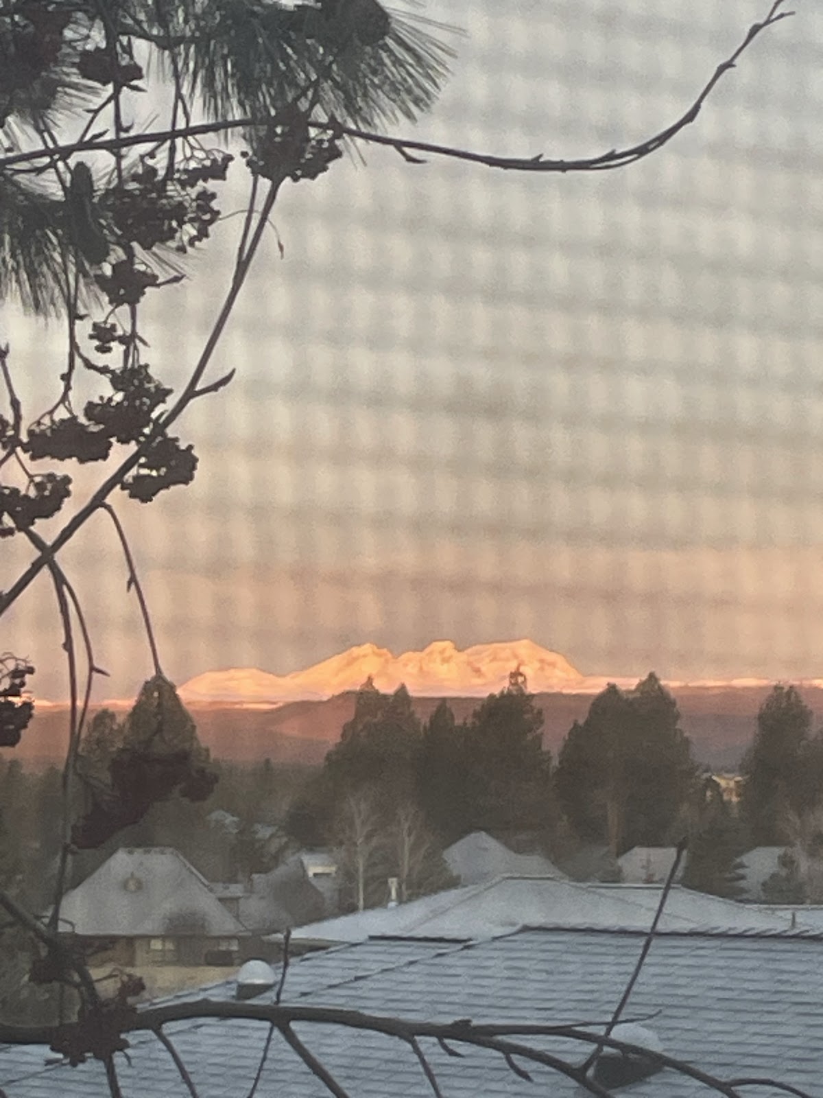 Alpenglow Dental photo 5