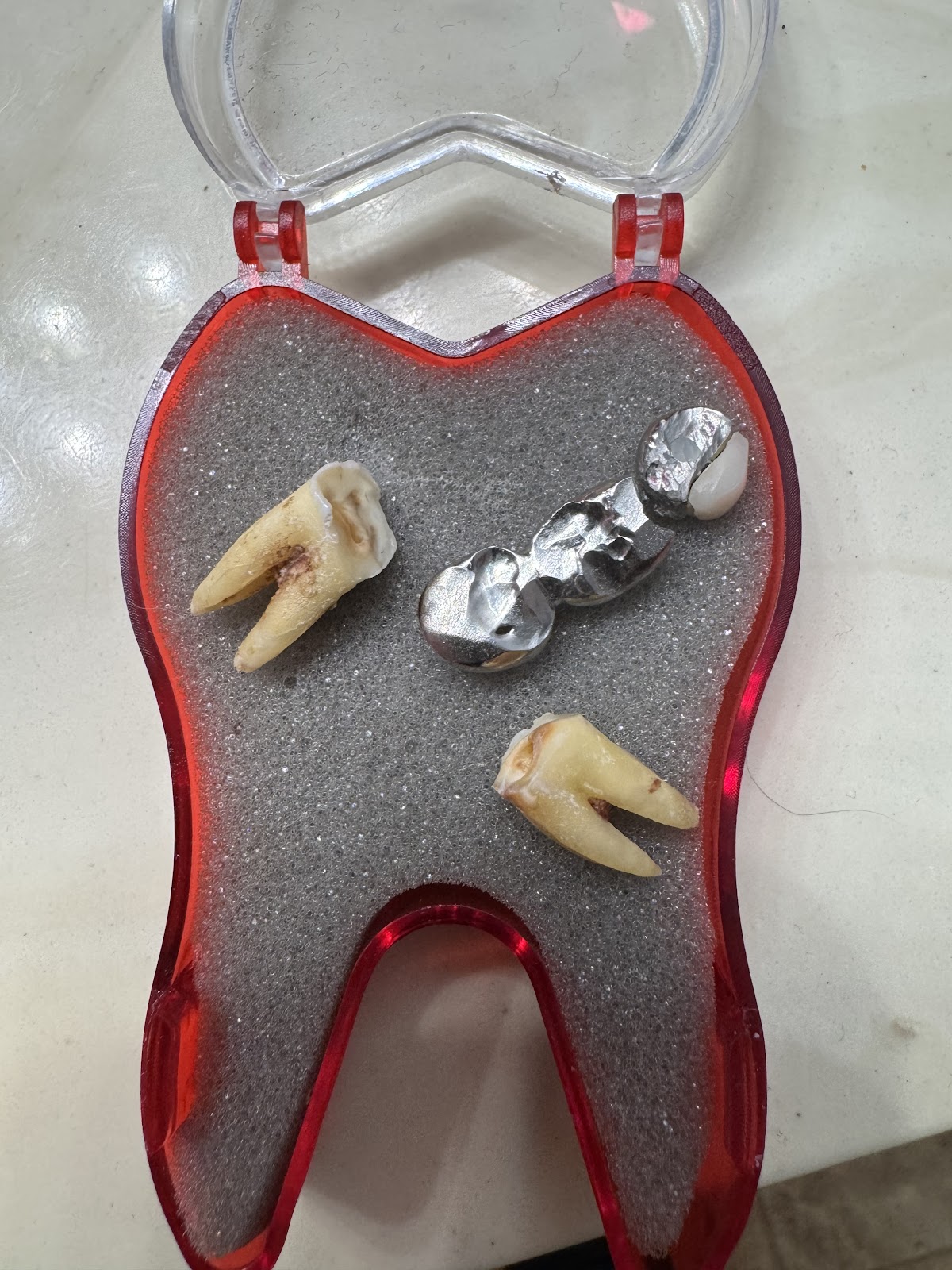 Apple Town Dental Care photo 4