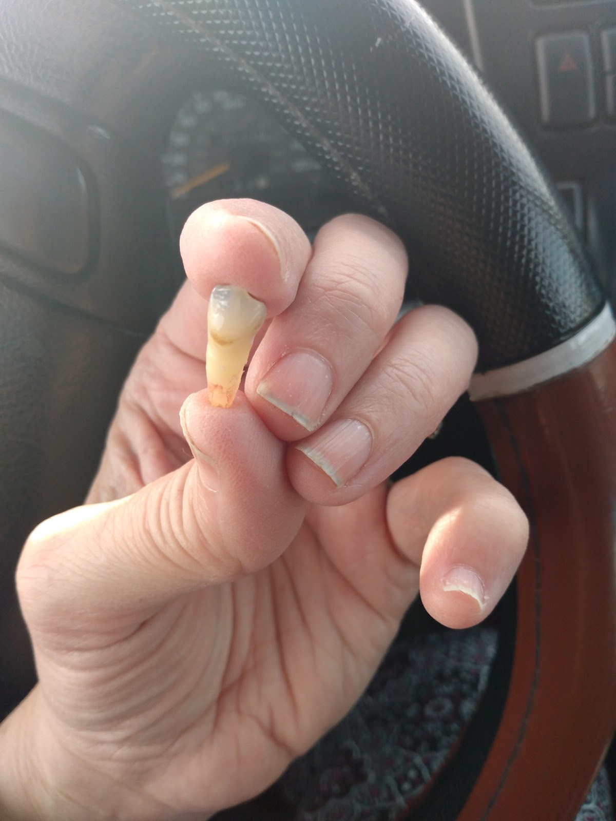 Advantage Dental+ photo 2