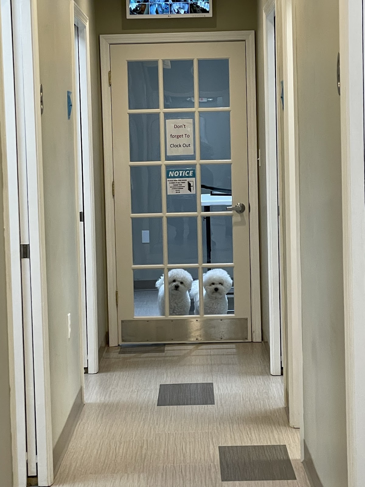 Beacon Dental photo 6