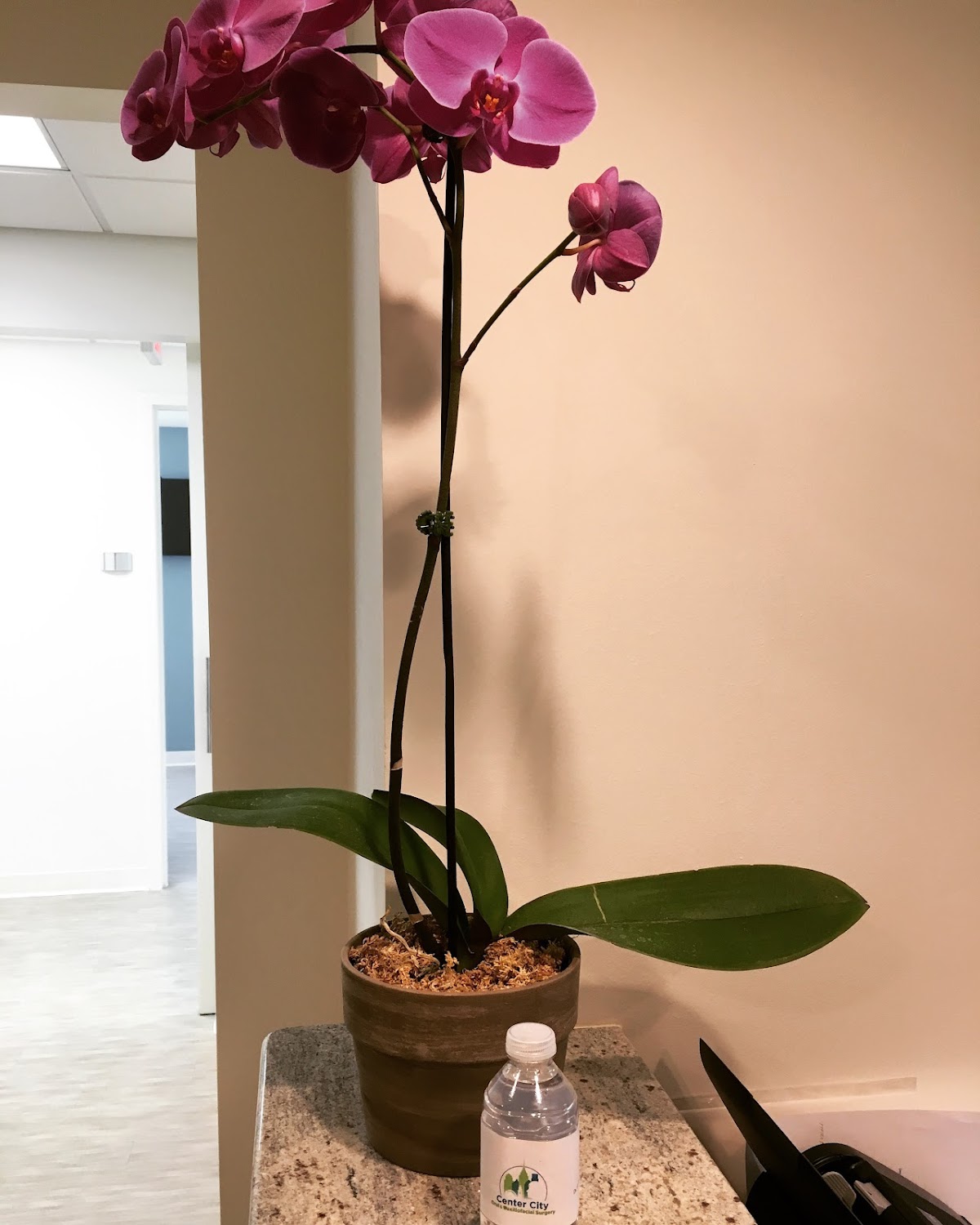 Center City Oral & Maxillofacial Surgery / Care Esthetics Philadelphia photo 2