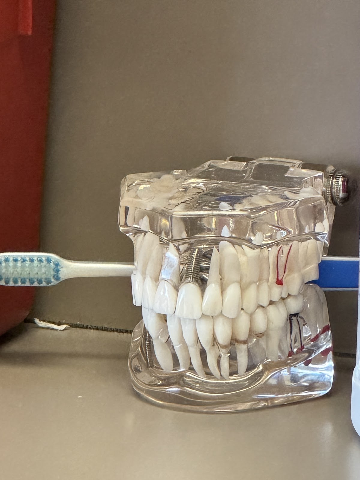 Gundersen Dental photo 2