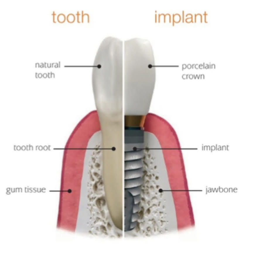 Buttonwood Dental photo 5