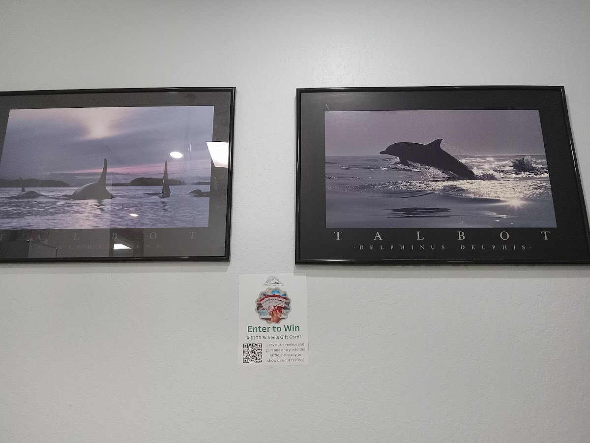 Evergreen Family Dental photo 2