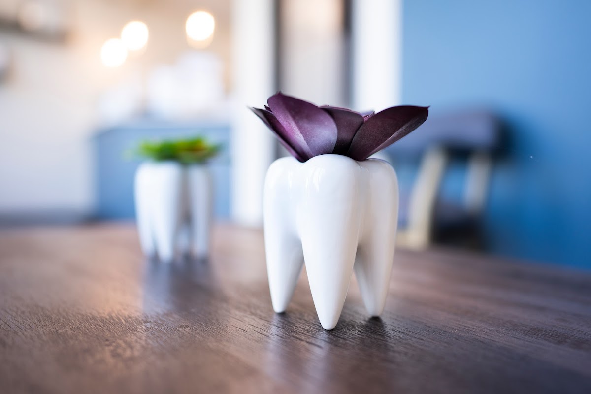 Lasting Impressions Family Dental Care photo 6