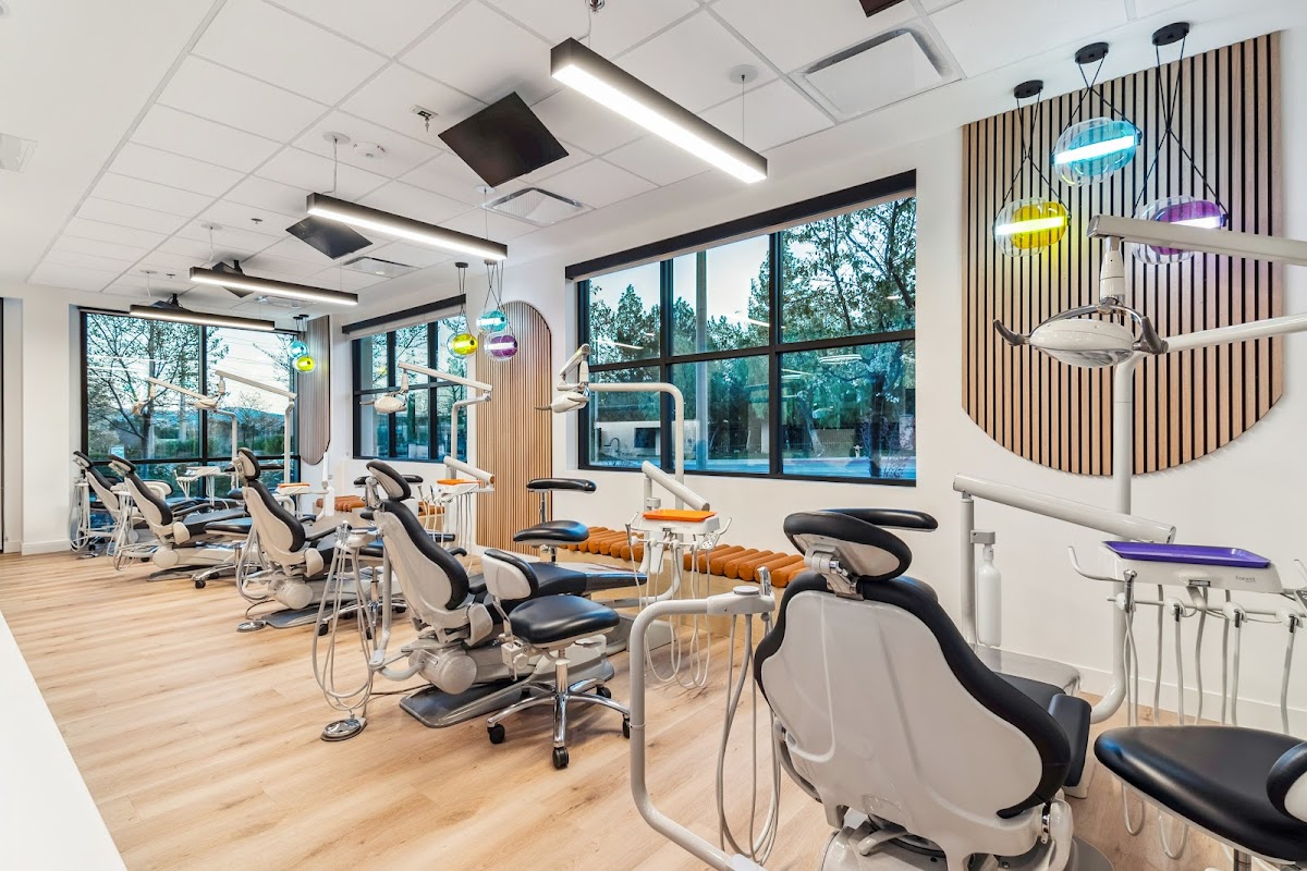 Smilebody Holistic Dental + Medical Wellbeing photo 4