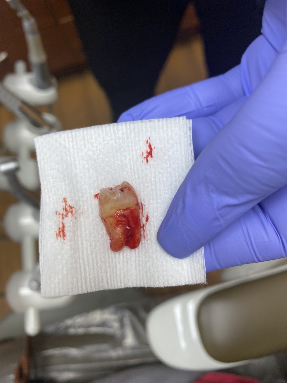 Dental Made Easy photo 4